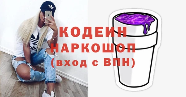 индика Верея
