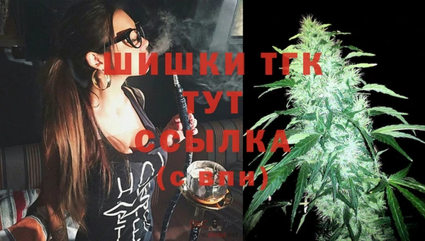 индика Верея