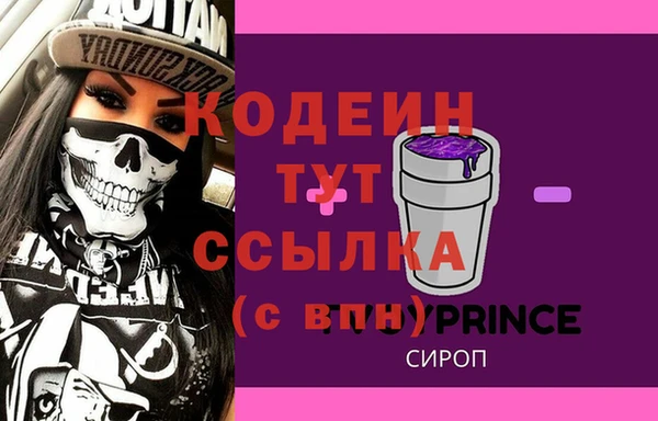 индика Верея