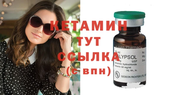 индика Верея
